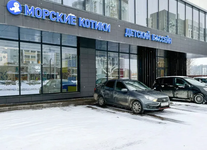 Детский бассейн «Морские котики»